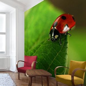 Apalis Vliesbehang Lady Bird fotobehang vierkant | vliesbehang wandbehang wandschilderij foto 3D fotobehang voor slaapkamer woonkamer keuken | Grootte: 192x192 cm, groen, 97786