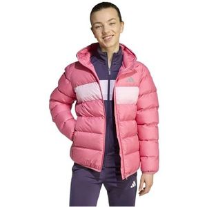 adidas Performance Gevoerde Jas - Roze Fusie/Roze/True Pink - adidas Performance - 10 jaar (140) - Donsjassen