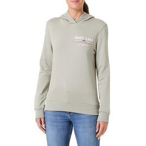 REG Graphic Hoodie, Faded Sage, XS