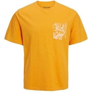 JACK & JONES Jorcrayon Pocket Tee Ss Crew Neck T-shirt voor heren, Iceland Poppy, XL