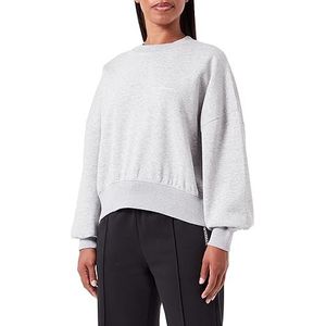 Emporio Armani Dames Dames Dames Sweater Iconic Terry Sweatshirt, lichtgrijs gem., L/XL
