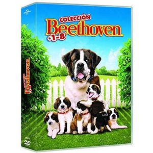 Beethoven 1-8 - DVD
