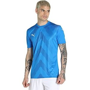 PUMA Jersey merk model TeamGLORY Jersey