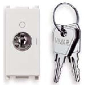 Vimar Schakelaar 2P 16Ax met sleutel Unif. Off B