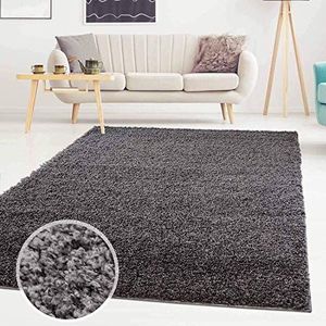 Carpet city ayshaggy Shaggy tapijt hoogpolig langpolig effen donkergrijs zacht wollig woonkamer, afmetingen: loper 60 x 110 cm, 60 cm x 110 cm