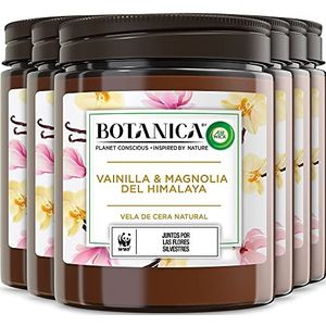 Botanica by Air Wick Geurkaars (luchtverfrisser voor thuis met vanille- en Himalaya-magnolia-geur), 6 stuks, naturel, 205 g (6 stuks)