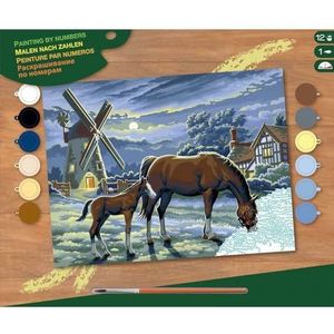 Mamut 8240429 Schilderen op nummer, senior, paarden, complete set met bedrukt schildersjabloon in A3-formaat, 12 acrylverf, penseel en handleiding (mogelijk niet beschikbaar in het Nederlands), grote