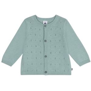 Petit Bateau Gebreid vest voor baby, groen, 12 Maanden