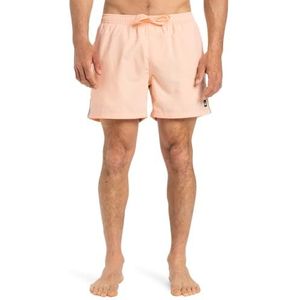 Quiksilver - Everyday Beach - Zwemshort - Blauw - 100% Gerecycled Polyester