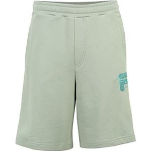 FILA Baiern Oversized Shorts voor heren, Silt Green., XXL