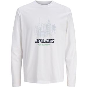 JACK & JONES - Shirt 'JORYORK' - Lichtblauw Donkerblauw Lichtgroen Wit - Lange Mouw