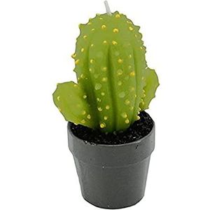 Vacchetti kaars cactus groen met vaas, Other, medium