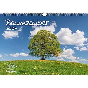 Boommagie DIN A3 kalender voor 2024 boom bomen bos natuur Seelenzauber