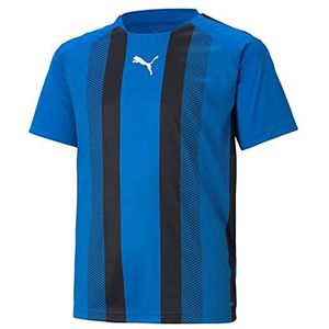 PUMA teamLIGA Striped Jersey Jr