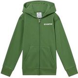 Champion Legacy Boys, Graphic Full Zip Hoodie, L, Groen, Groen, L