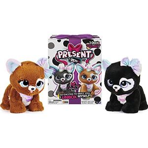 Spin Master Present Pets - Rainbow Glitter 6059159, Vanaf 5 Jaar, Meerkleurig