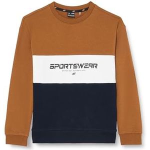 4F Sweatshirt M630 Goud Kid 158, Goud