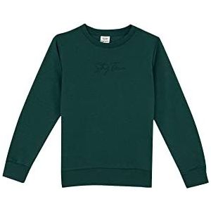 DeFacto Pullover met lange mouwen voor jongens - ronde hals sweatshirt voor jongens (groen, 5/6 Y), D.GREEN, 5-6 Jaren