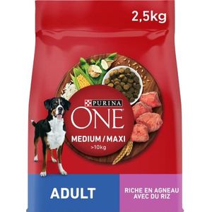 PURINA ONE M/Maxi Adult Rundvlees 2,5 kg droogvoer voor volwassen honden van middelgrote en grote maten