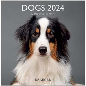DRAEGER PARIS Grote wandkalender honden 2024 om op te hangen, 29 x 29 cm, 16 maanden sept-23 tot december 24, 7 talen, kalender kantoor, huis, maandelijks | decoratie, organisatie |