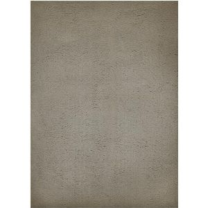 andiamo Tapijt San Paolo modern stijlvol hoogpolig tapijt woonkamer slaapkamer 100% polyester poolhoogte ca. 27 mm geschikt voor vloerverwarming 160 x 230 cm taupe