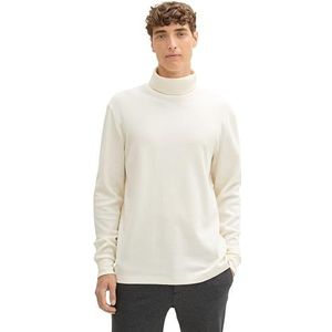 TOM TAILOR Denim T-shirt voor heren, 12906 - Wool White, XL