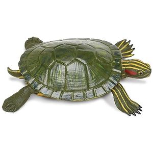 Safari Ltd. Roodoren Slider Schildpadbeeldje - Realistisch 5,25 inch modelfiguur - educatief speelgoed voor jongens, meisjes en kinderen vanaf 18 jaar