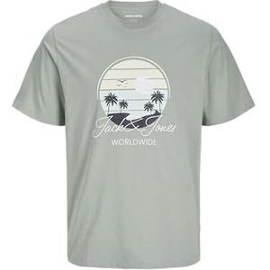 Jack & Jones Jjpalm Tee Ss Crew Neck Mni, Iceberg Green., 110