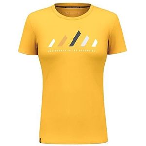 Salewa Unisex Pure Stripes Dry W T-shirt T-shirt