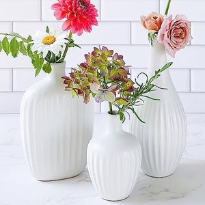 Keramische minimalistische witte vazen met textuur (set van 3) - Boho vazen voor pampasgras, eucalyptus, droge bloemen en planten | plankdecoratie, schoorsteendecoratie, tafelstuk