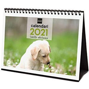 Finocam Tafelkalender 2021 voor foto's met Catalaanse puppy's