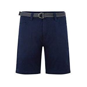 O'Neill Roadtrip SR shorts voor heren, blauw (schaal), 31