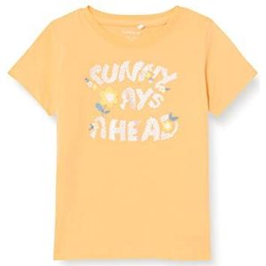 Bestseller A/S Meisjes NMFHERMINE SS TOP T-shirt, Mock Orange, 92, Mock Oranje, 92 cm