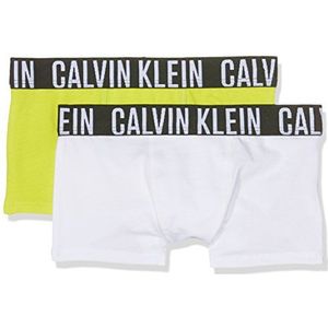 Calvin Klein Lingerie voor kinderen en jongens, meerkleurig (1 sulfur lente/1 wit 085), 8-10 jaar