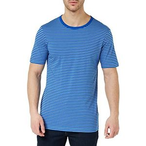 G-STAR RAW Delg gestreept T-shirt voor heren, Meerkleurig Lake/Lapis Blue Stripe C339-d953, XS
