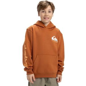Quiksilver - Omni Logo - Pullover Hoodie - Zwart - Gemengd Katoen en Polyester