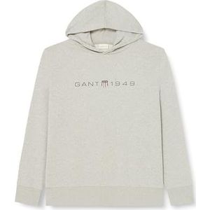 GANT Heren bedrukte grafische hoodie capuchontrui, gemengd grijs, 3XL