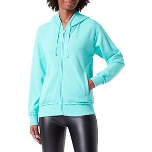 Champion Legacy Minimalist Resort W-Spring Terry Sweatshirt met capuchon voor dames, Aquamarijn Groen, M