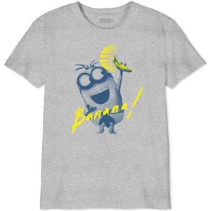 The Minion Monsters T-shirt voor jongens, Grijs Melange, 14 Jaren