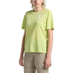 Jack Wolfskin Vonnan Graphic T-shirt voor dames, grijs (cool grey), S