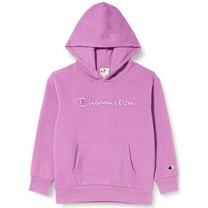 Champion Rochester 1919 Rochester 1919 Logo B - Powerblend fleece sweatshirt met capuchon, antiek roze donker, 15-16 jaar kinderen FW23, Rosa Antico Scuro