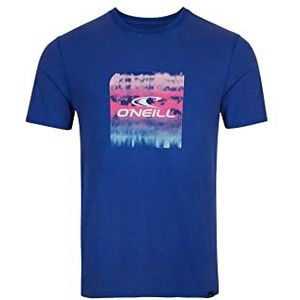 O'NEILL Tees T-shirt met korte mouwen Cube Fill T-shirt, 15013, Surf The Web Blue, Regular (6 stuks) voor heren