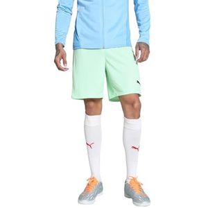 PUMA teamGOAL Korte broek