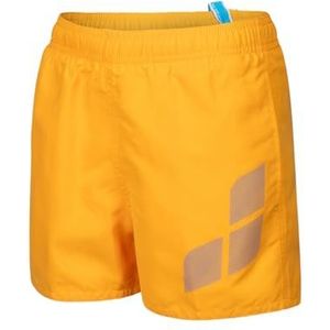 ARENA Jongens Logo R Beach Shorts Zwembroek, Parrot-turquoise, 116