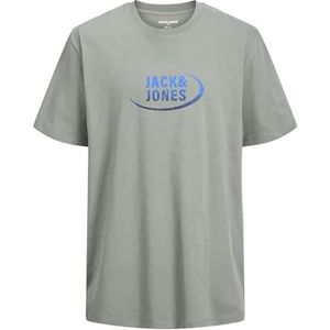 JACK&JONES PLUS Heren Jcogradient Tee Ss Crew Neck Styd Sn Pls T-shirt, agave green, 3XL