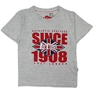 Lee Cooper T-shirt, Grijs, 14 Jaren