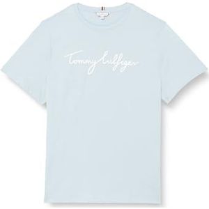 Tommy Hilfiger Dames CRV Reg C-Nk Signature Tee Ss S/S gebreide tops, blauw, 48, Blauw, 48