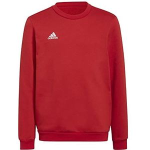 adidas Unisex Kids Sweatshirt Ent22 Sw Topy, Tepore, H57473, 164 EU
