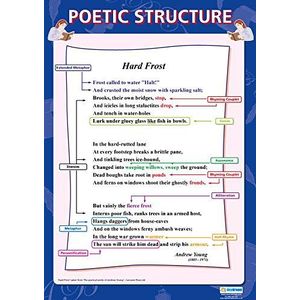 Poëtische structuur | Engels Literatuur Posters | Gelamineerd Glans Papier meten 850mm x 594mm (A1) | Engels Lit Classroom Posters | Onderwijs Grafieken door Daydream Education