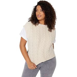 Trendyol Vrouwen Plus Size Regular fit Basic Crew Neck Knitwear Plus Size Trui, Beige, 4XL, Beige, 4XL Grote Maten